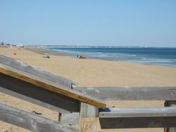 the Atlantic Ocean shoreline at Salisbury Beach State Reservation