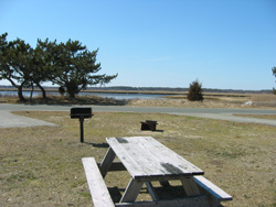 a campsite at Salisbury Beach State Reservation